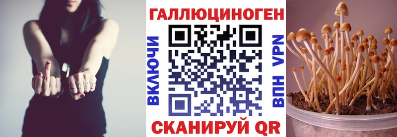 Галлюциногенные грибы мухоморы  закладка  Майский 